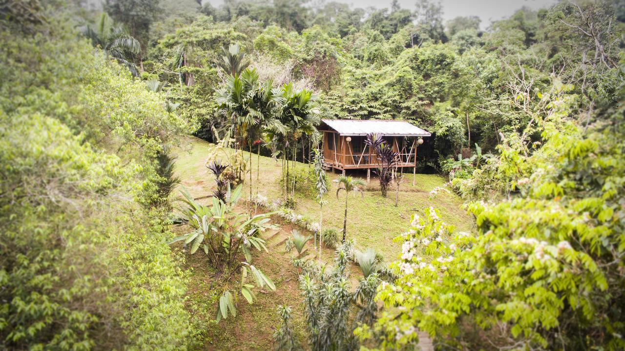 Naguala Jungle Lodge Drakes Bay 외부 사진